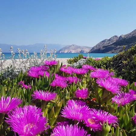 Lovincic 3* Baska (Krk)