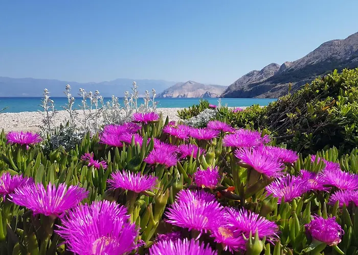 Lovincic 3* Baška